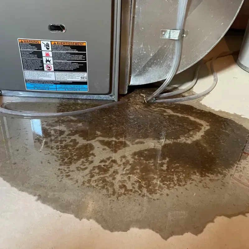 Appliance Leak Cleanup in North Fort Myers, FL